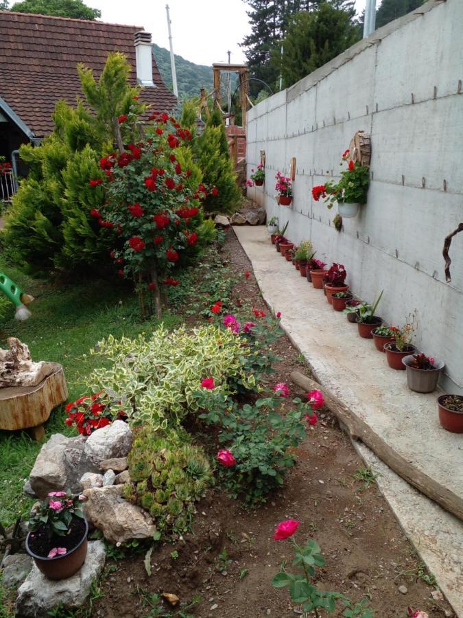 Skriveni Raj Apartment Vrdnik Luaran gambar
