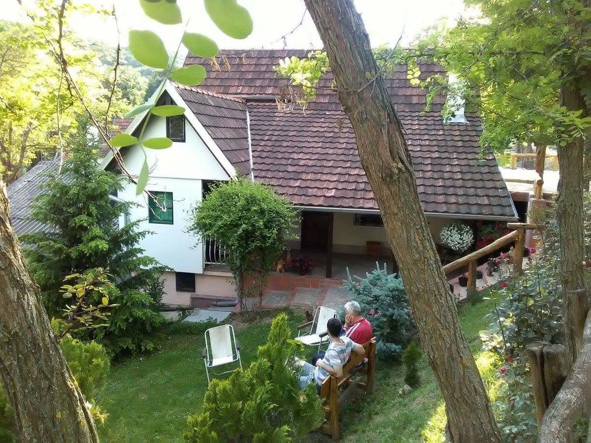 Skriveni Raj Apartment Vrdnik Luaran gambar