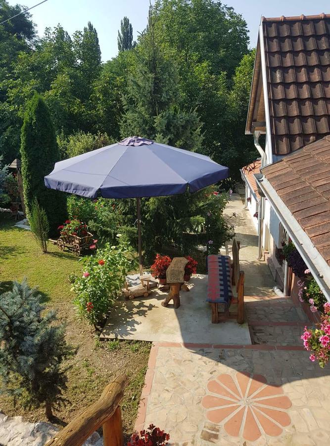 Skriveni Raj Apartment Vrdnik Luaran gambar