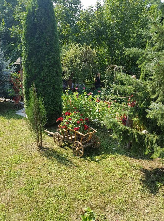 Skriveni Raj Apartment Vrdnik Luaran gambar