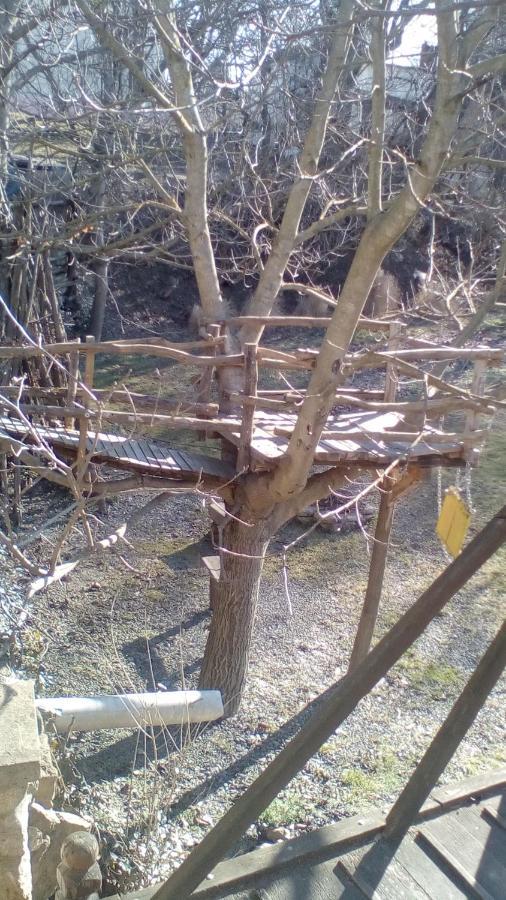 Skriveni Raj Apartment Vrdnik Luaran gambar