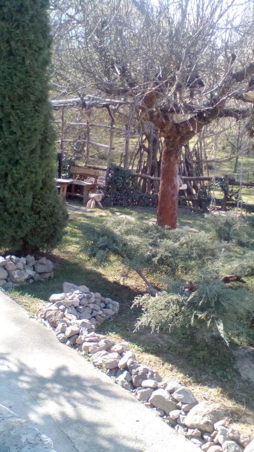 Skriveni Raj Apartment Vrdnik Luaran gambar