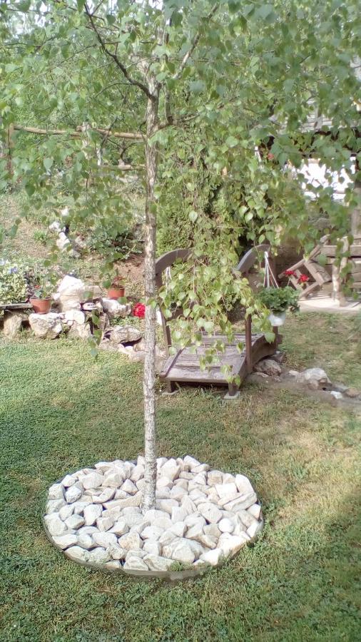 Skriveni Raj Apartment Vrdnik Luaran gambar