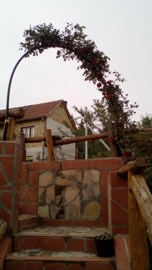 Skriveni Raj Apartment Vrdnik Luaran gambar